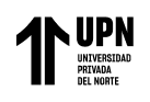 logo upn